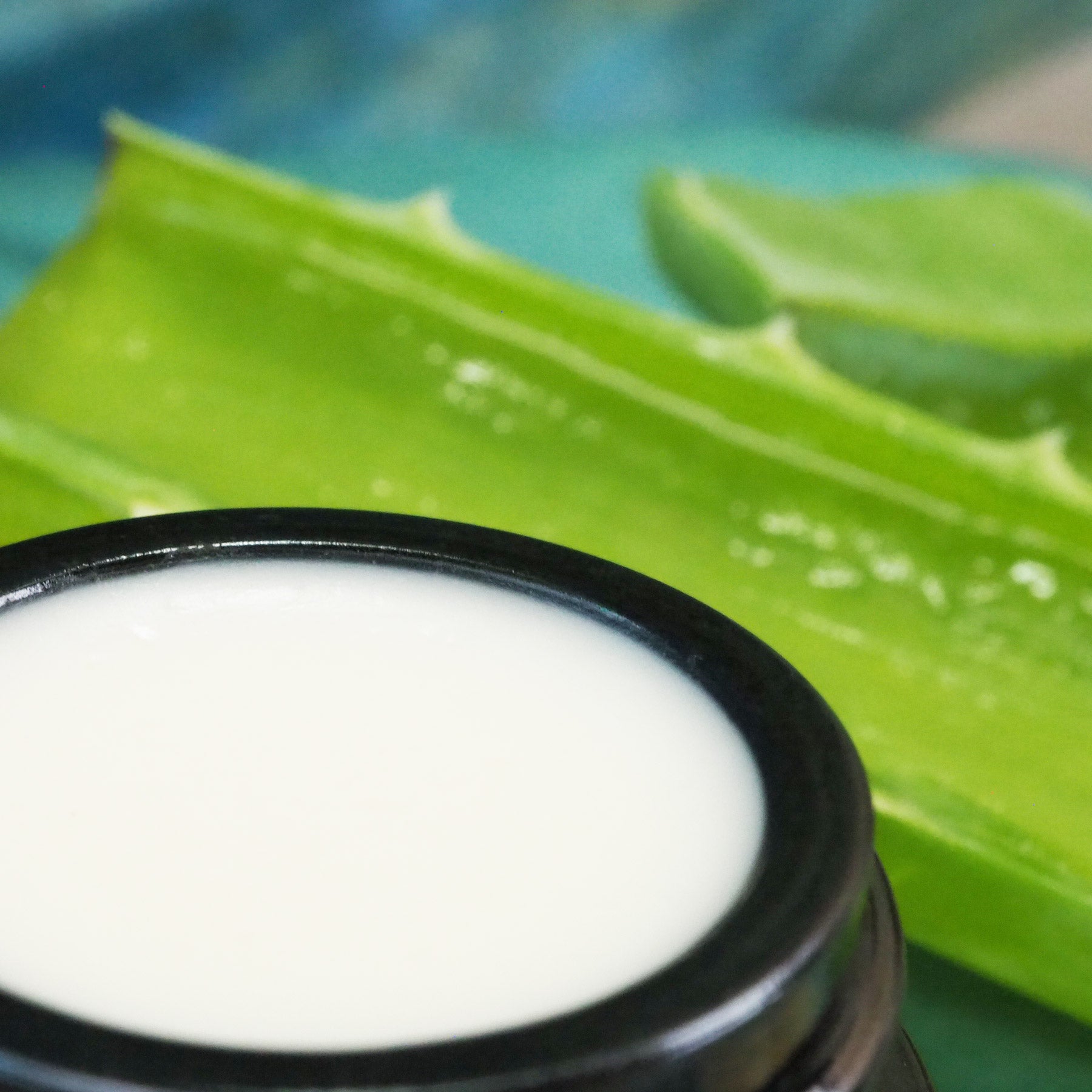 Geöffneter 7ml Morgentau Creme Tiegel, Nahaufnahme.