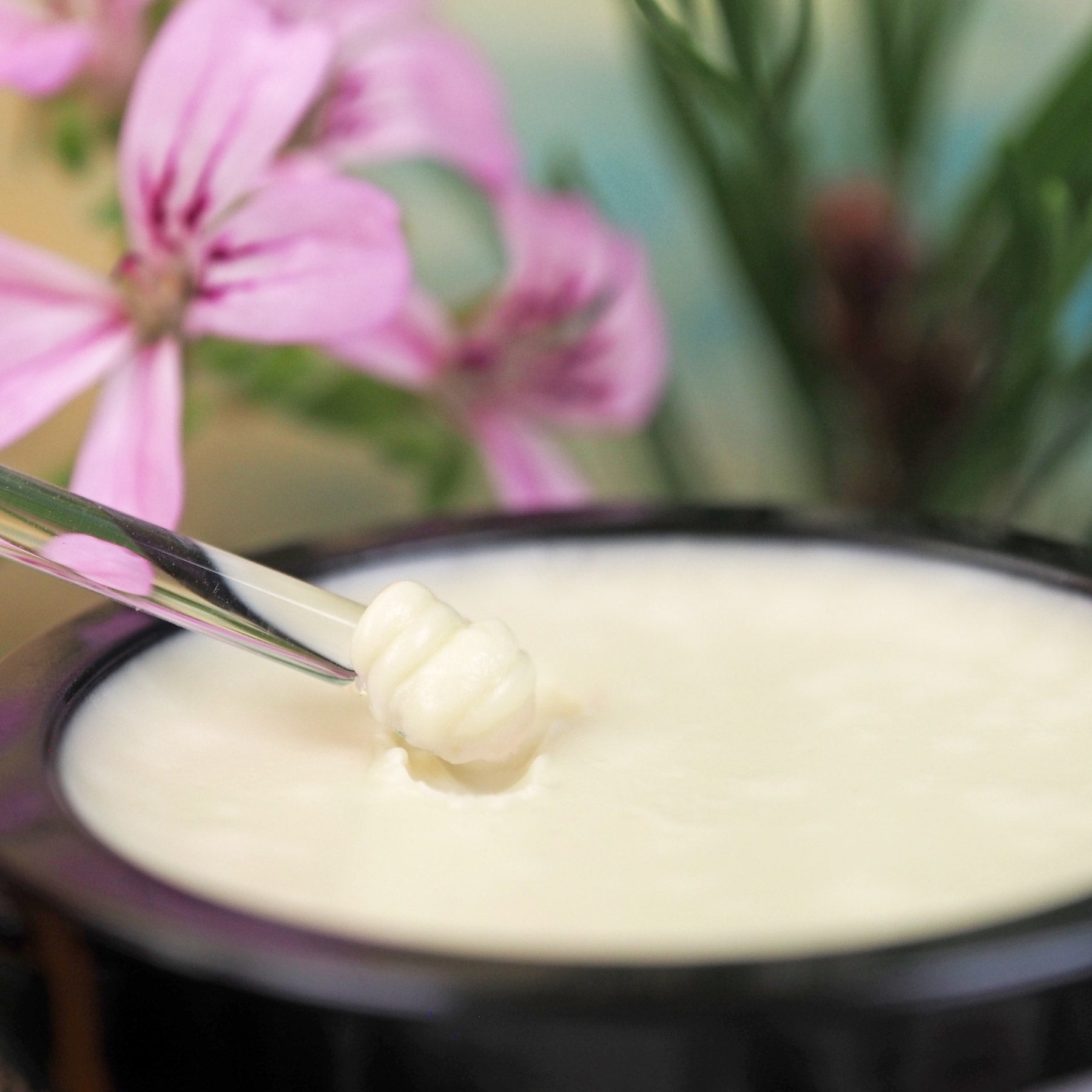 Geöffneter 35ml Walking Fußpflegecreme Tiegel. Die Creme wird mit einem Glasspatel entnommen.