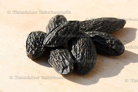 Tonkabohnen (6 Stück)