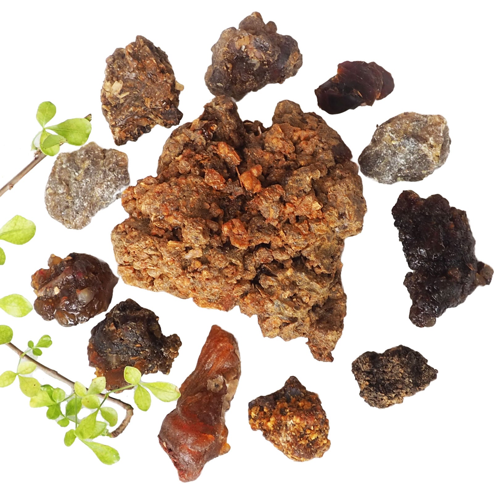 Myrrhe Hydrolate Set