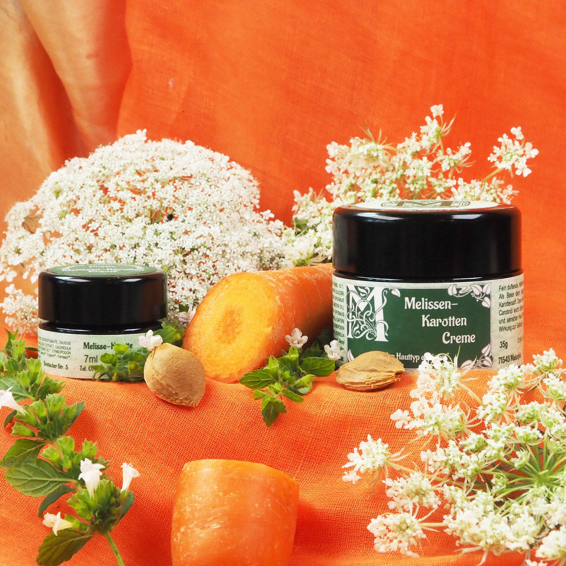 Melissen-Karotten Creme in 7ml und 35ml Tiegel