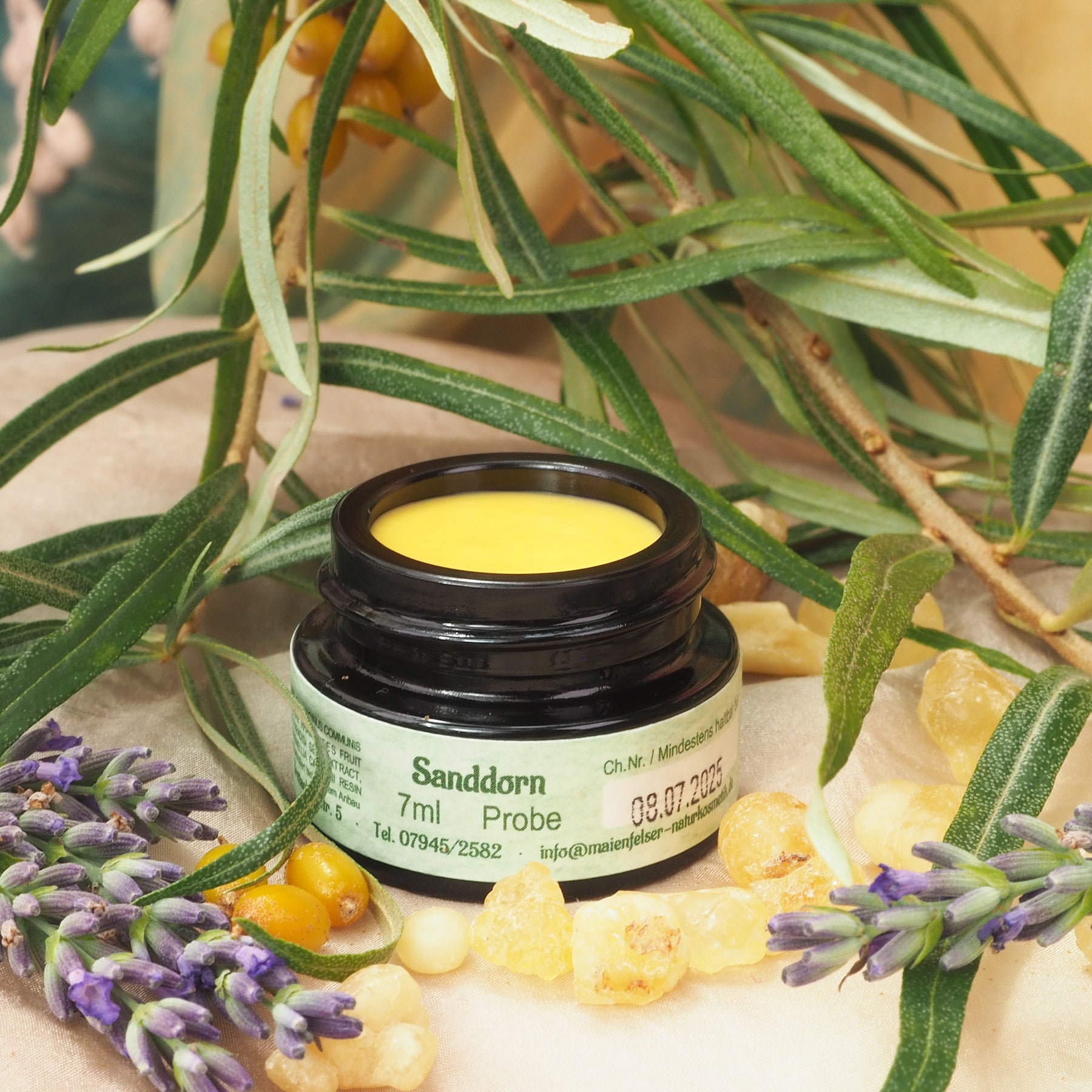 Geöffneter 7ml Sanddorn Creme Tiegel.