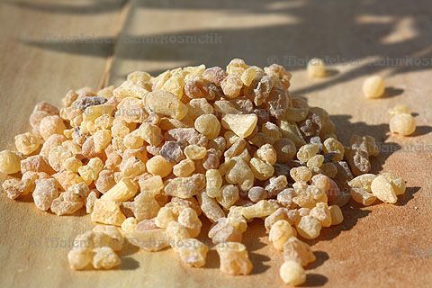 Olibanumharz Somalia - Erbsen