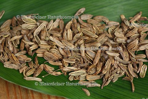 Fenchel bitter (10 ml)