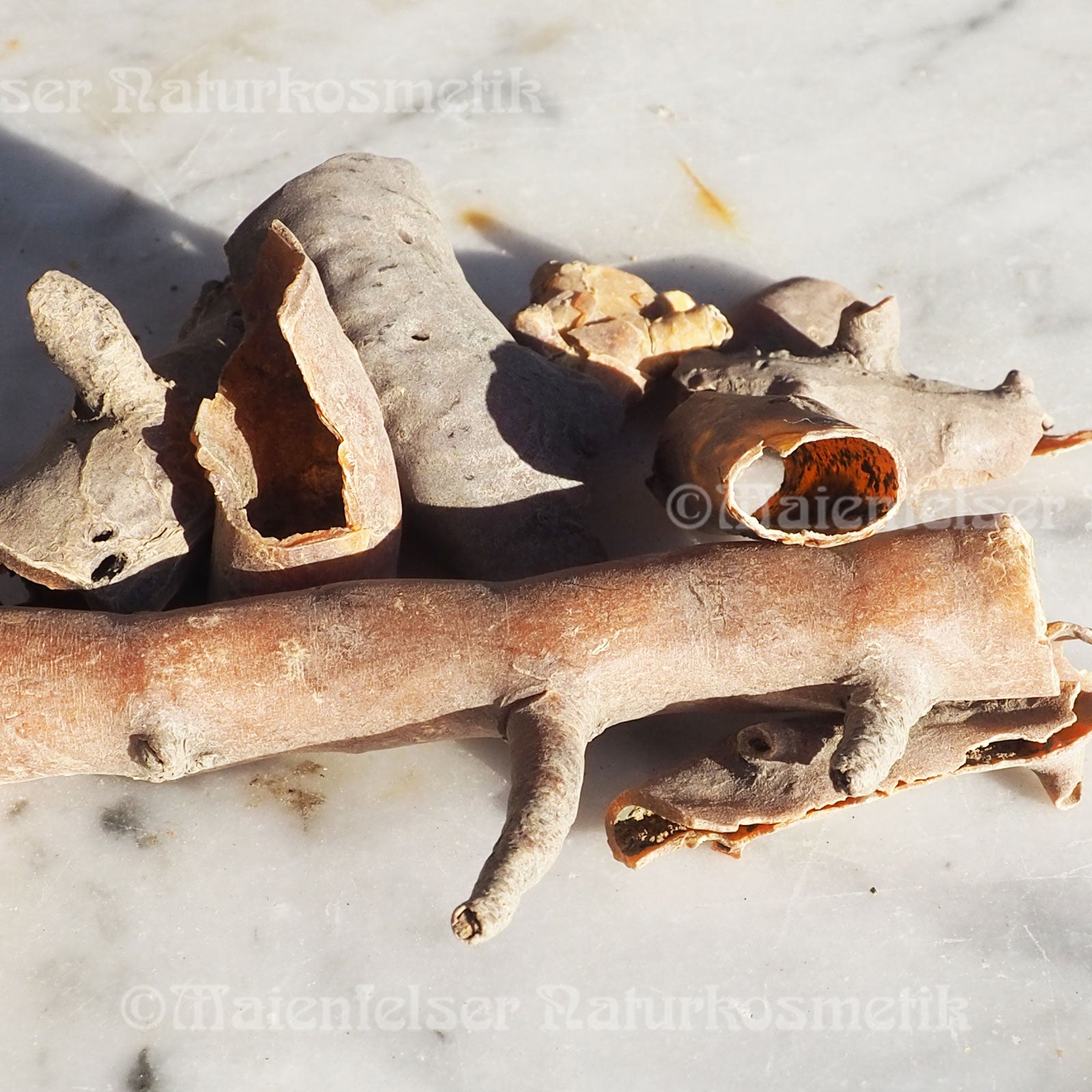 Buschmans Candle (Süßer Weihrauchbaum) (2ml)