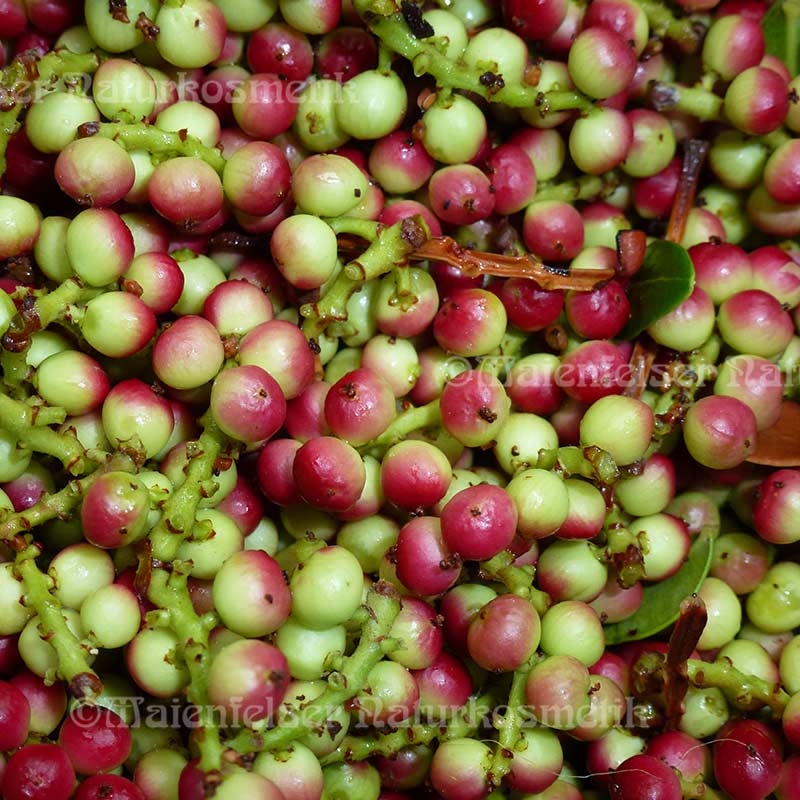 Mastix extra BIO (2 ml)